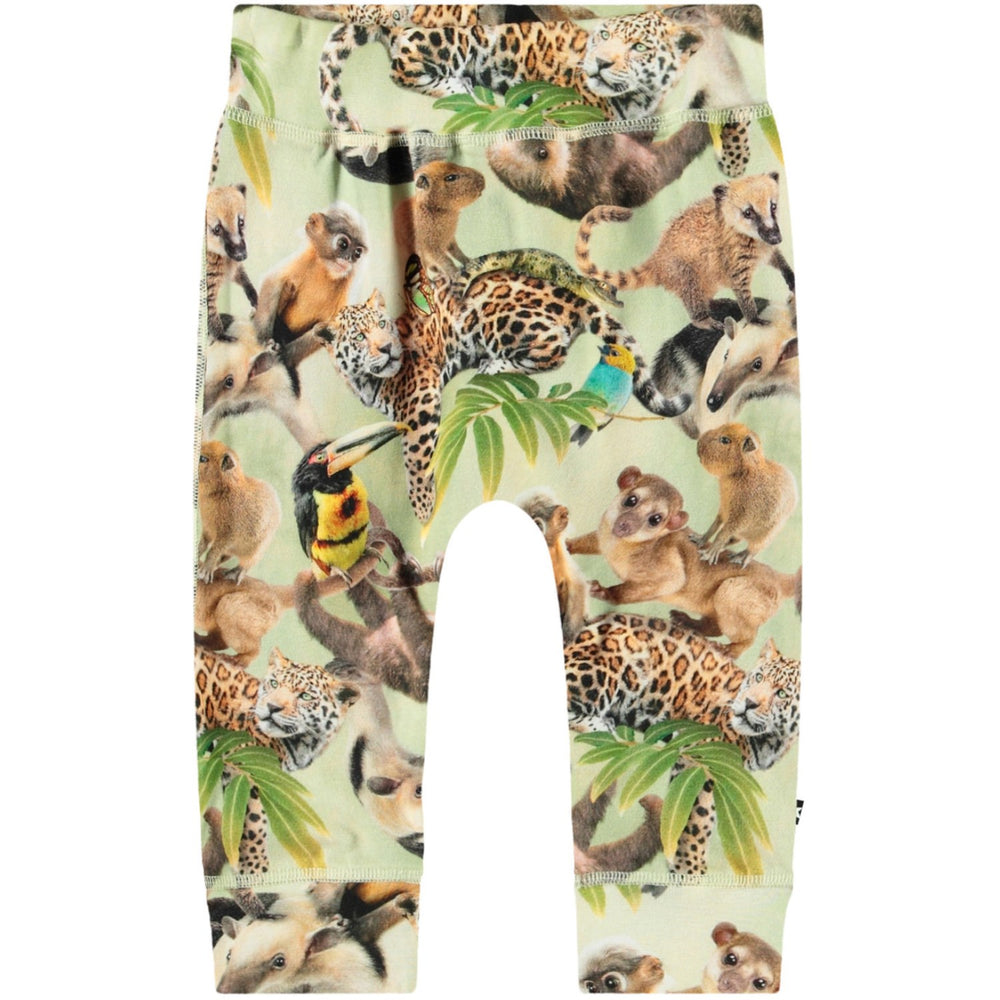 Køb Molo Jungle Cubs Sammy Soft Bukser