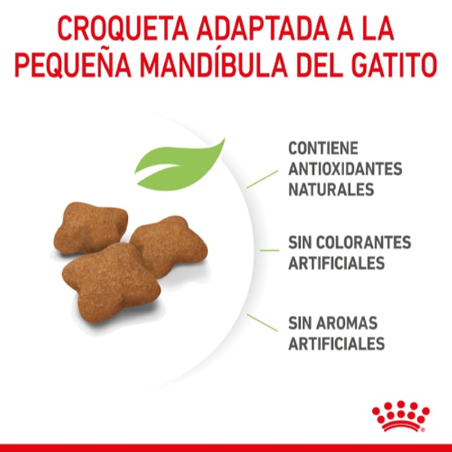Ração esterilizada Royal Canin para gatinhos