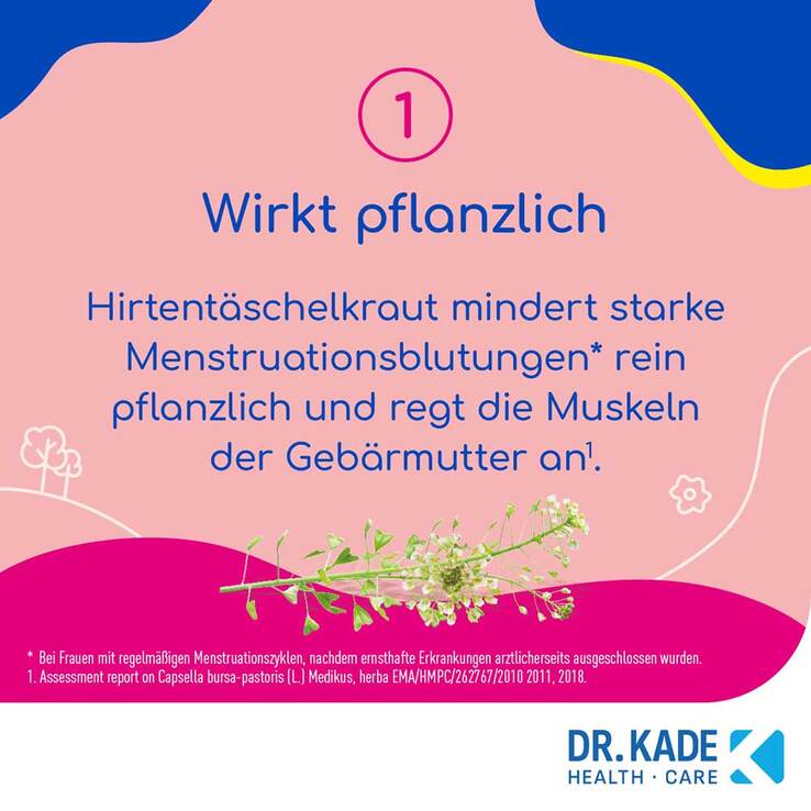 KadeZyklus bei starken Blutungen während der Menstruation, 20 St