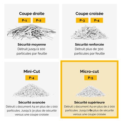 Fellowes Powershred LX201 - destructeur de documents coupe croisée microparticules - 12 feuilles - Corbeille 22 litres - blanc