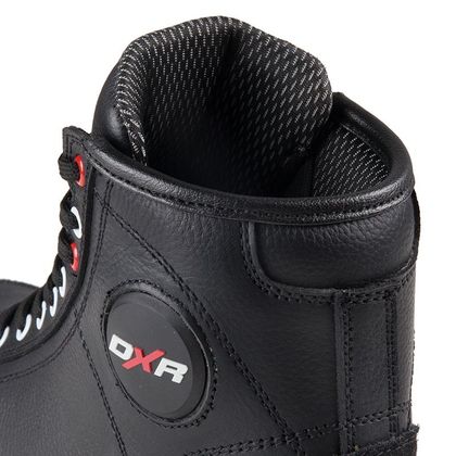 Baskets DXR SANTA CRUZ - Noir