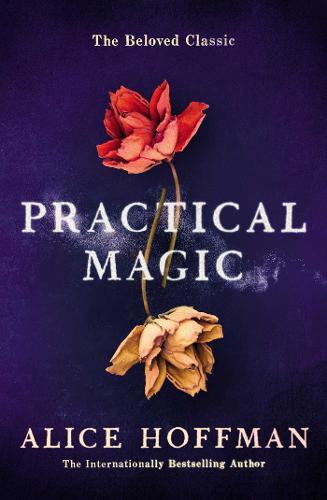 Practical Magic - The Practical Magic Series 3 (Paperback)