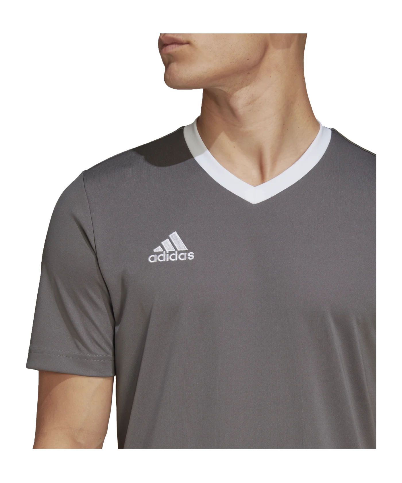 adidas Entrada 22 Trikot Grau Weiss