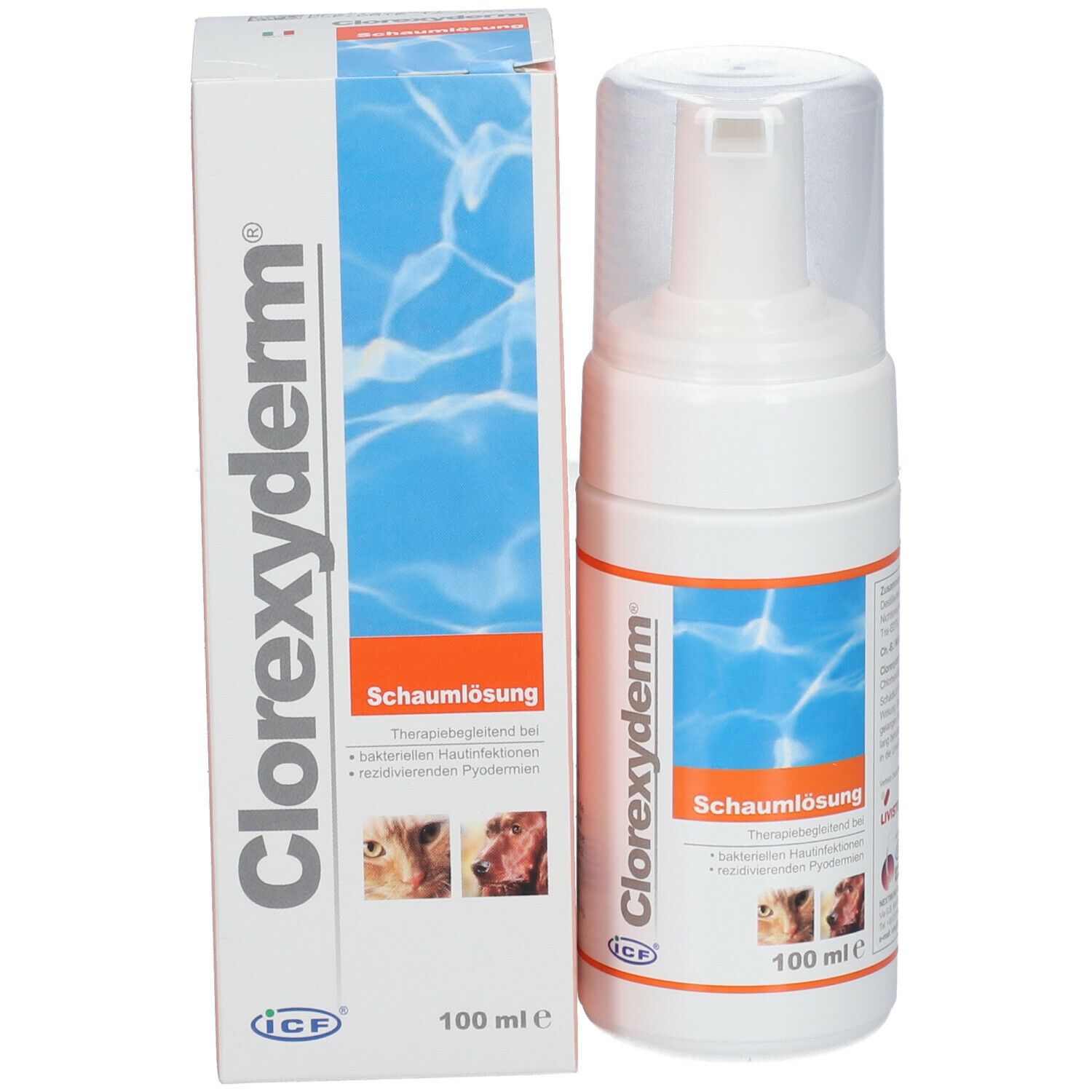Clorexyderm® Schaumlösung