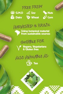 Rio Amazon Yerba Maté Capsules 90CP