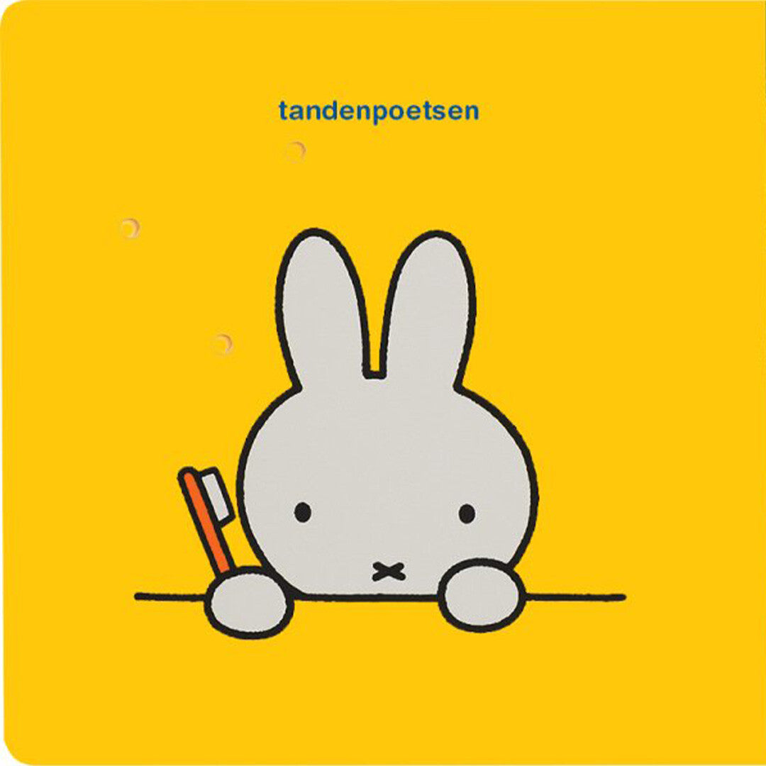 Kartonboek met lichtjes welterusten, nijntje