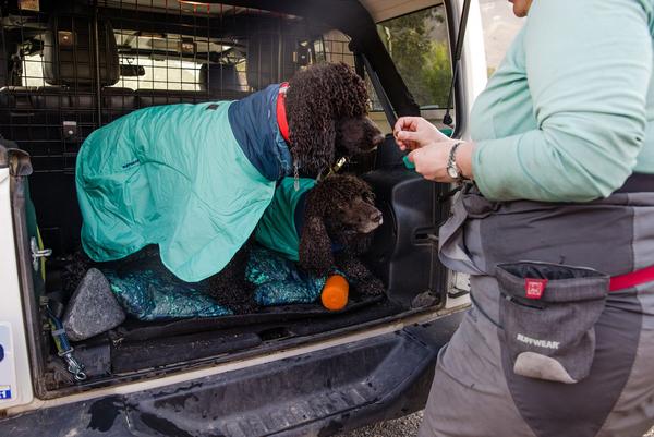 RUFFWEAR® Hunde-Handtuchmantel Dirtbag™