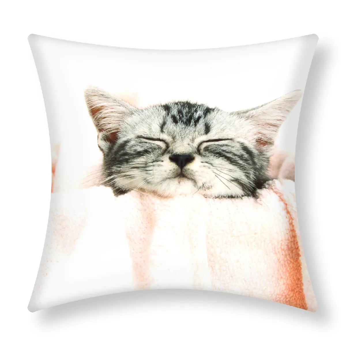 Housses de Coussin AVIZAR - Chaton