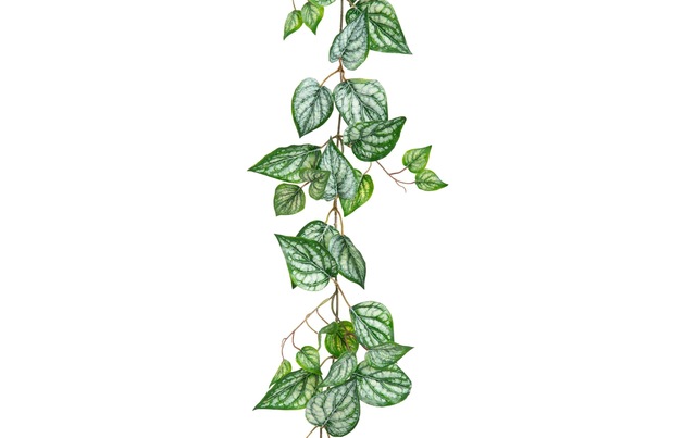 Botanic-Haus Kunstblume »Calatheagirlande 150 cm«