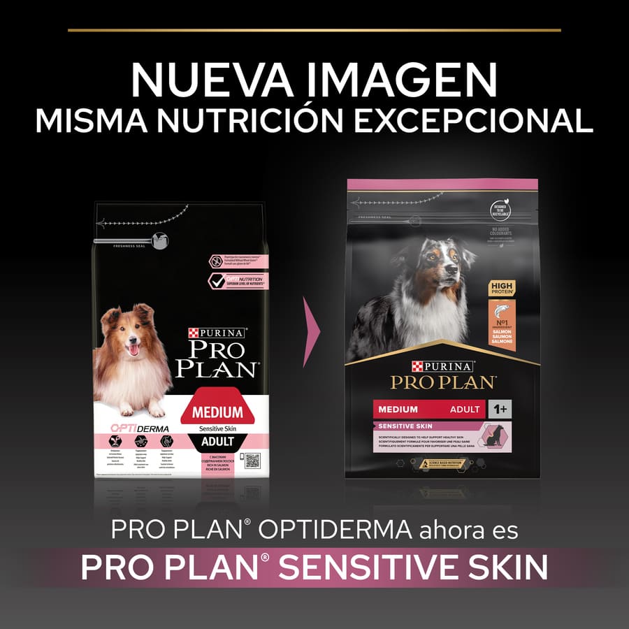 Ração Pro Plan Adult Medium Sensitive Skin com Salmão para cães.