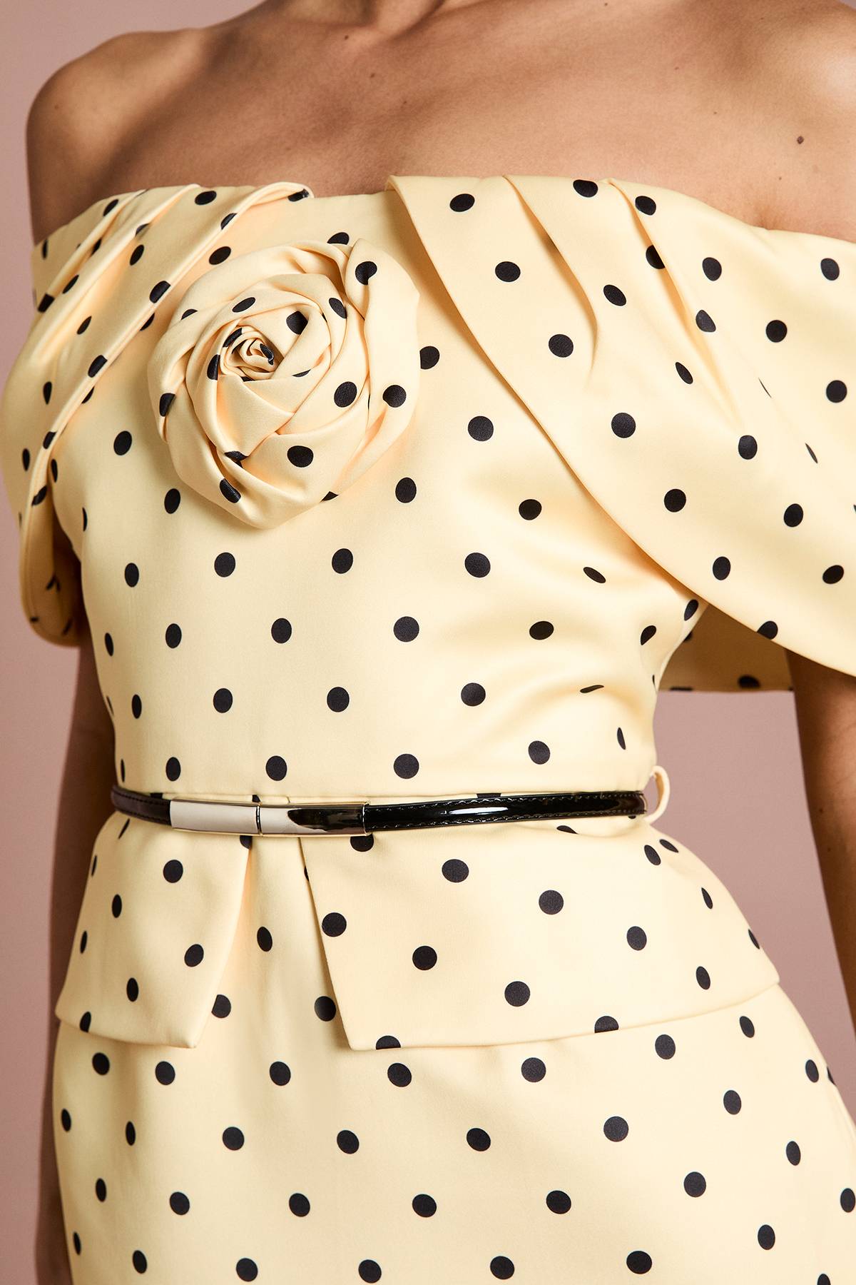 Coast Robe Crayon Lisa Tan À Imprimé Pois Avec Corsage Et Épaules Dénudées