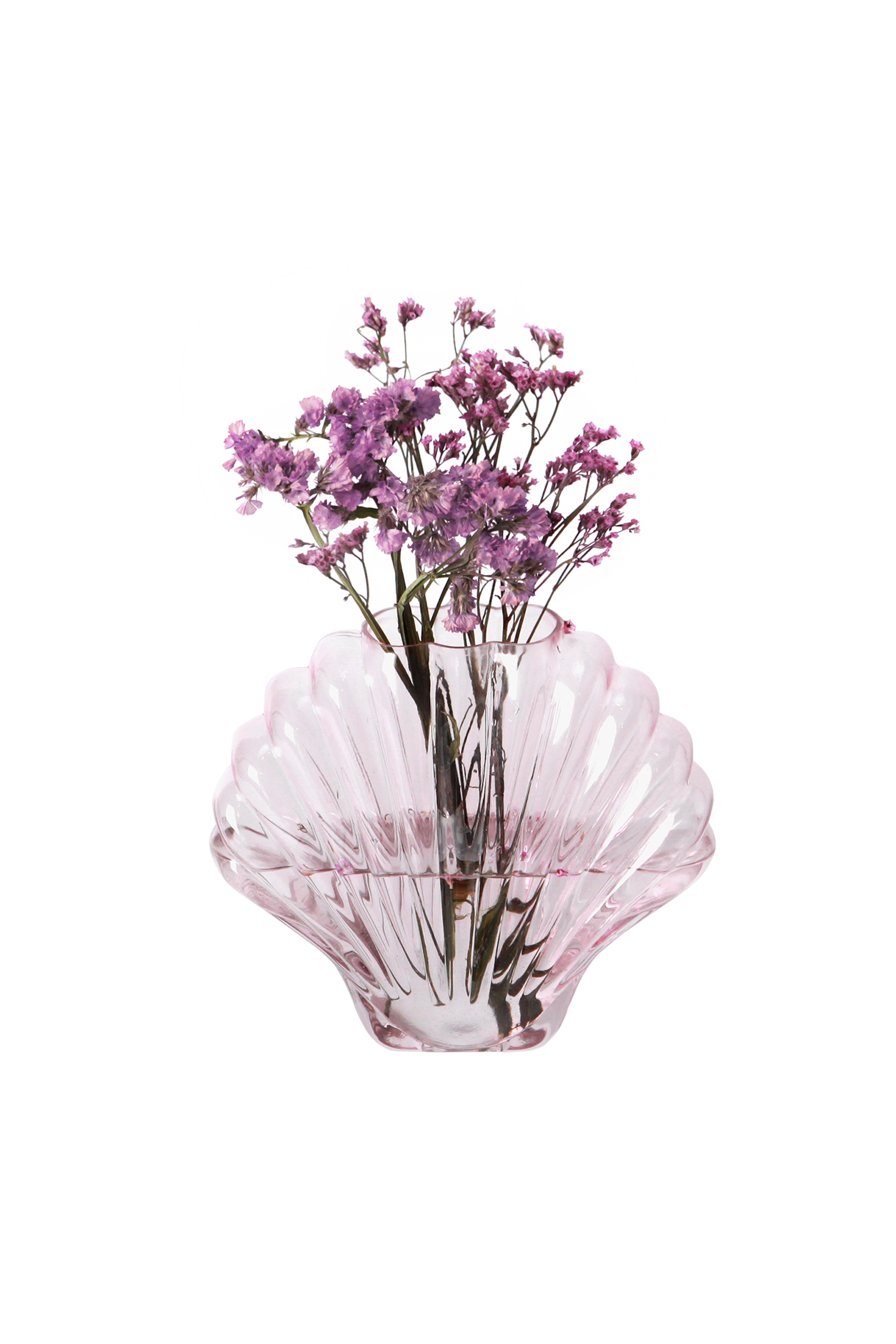 DOIY Vase Seashell Rose