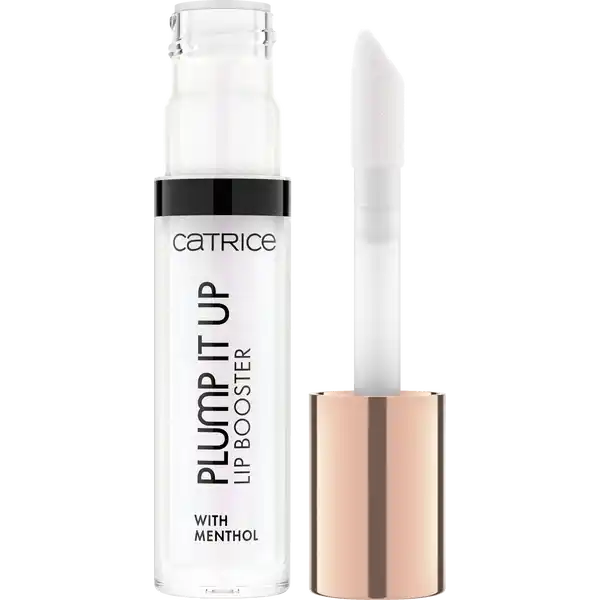 Plump It Up Lip Booster 010