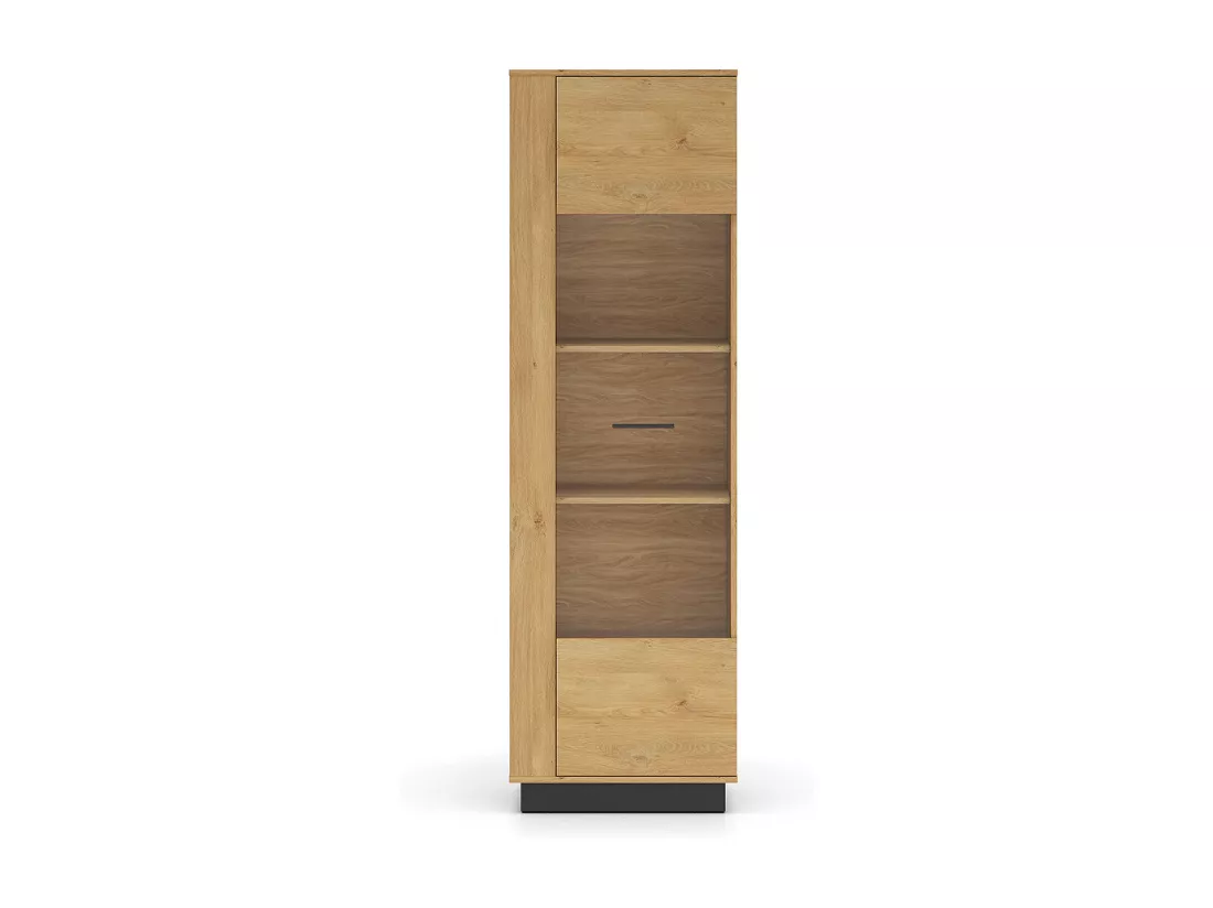 Vitrine 1 porte Ysia Bois et Noir