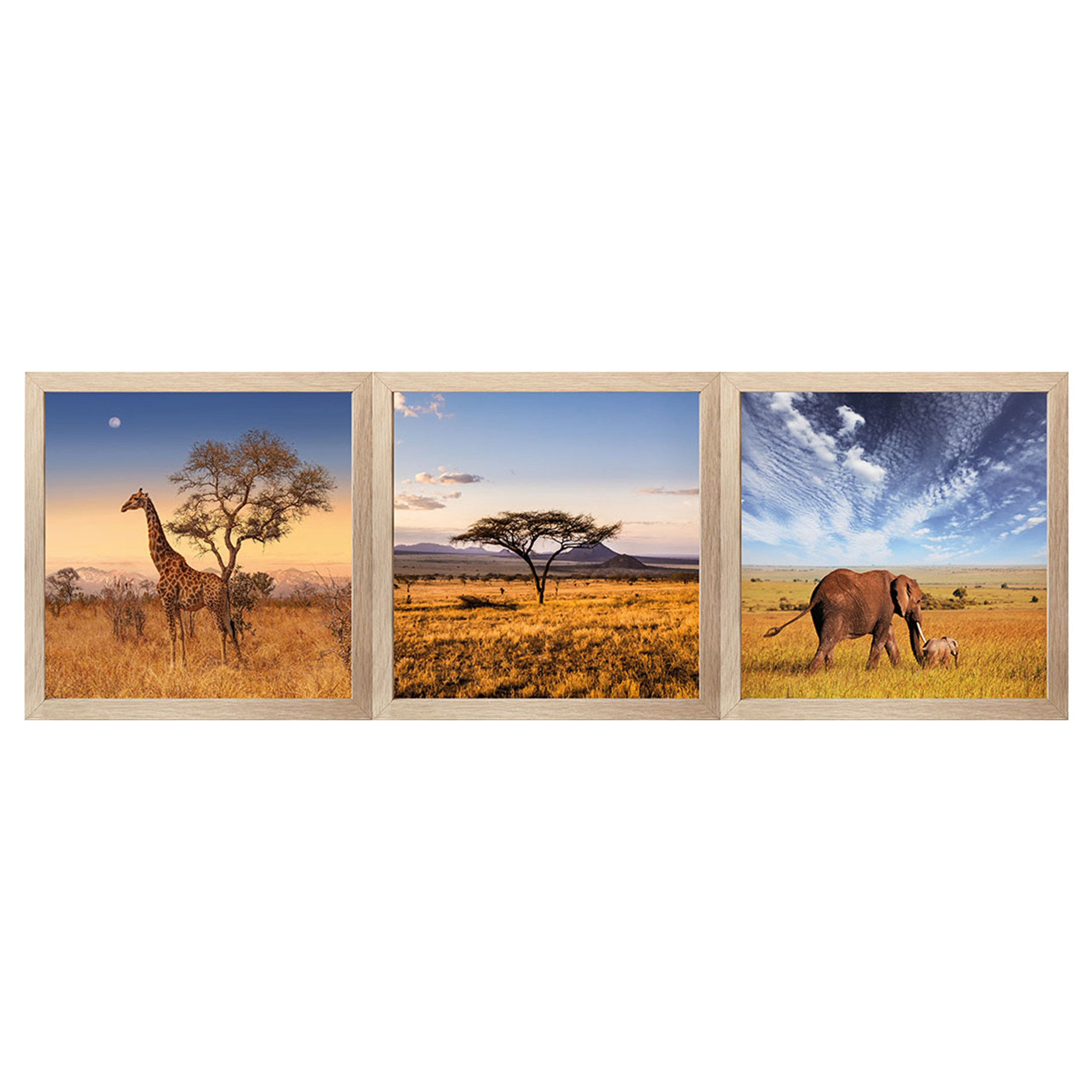 3er-Set Gerahmtes Bild/Cheb NATUR EMOTIONEN - je 23x23 cm