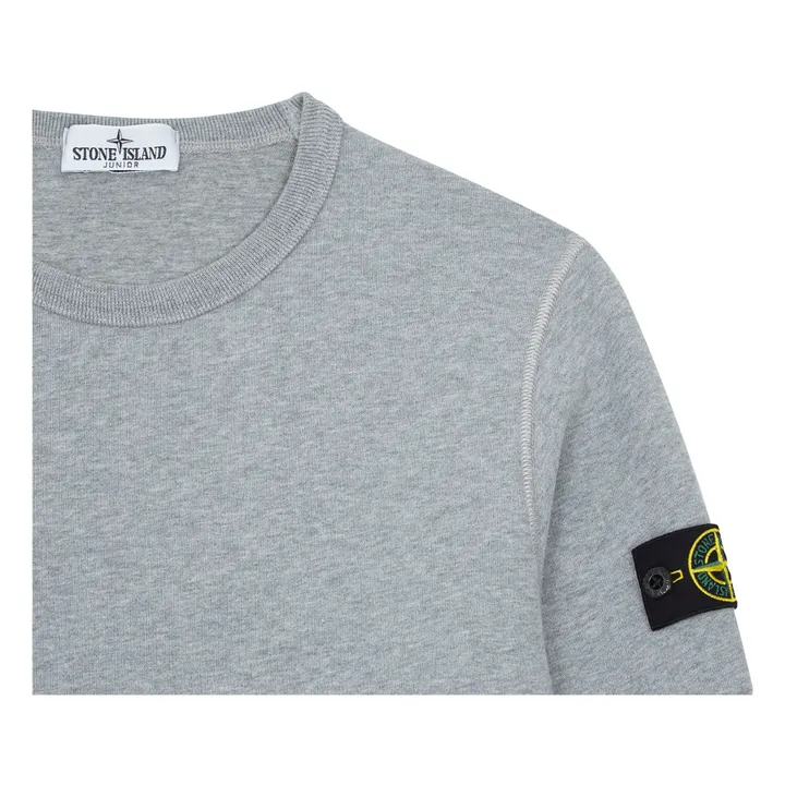 Stone Island Sweat | Gris