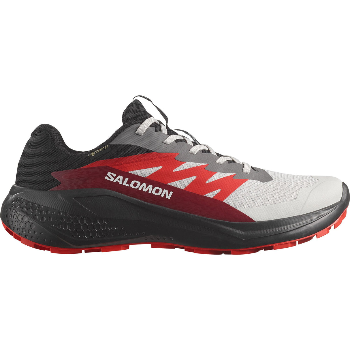 Salomon<br>Alphaglide GTX