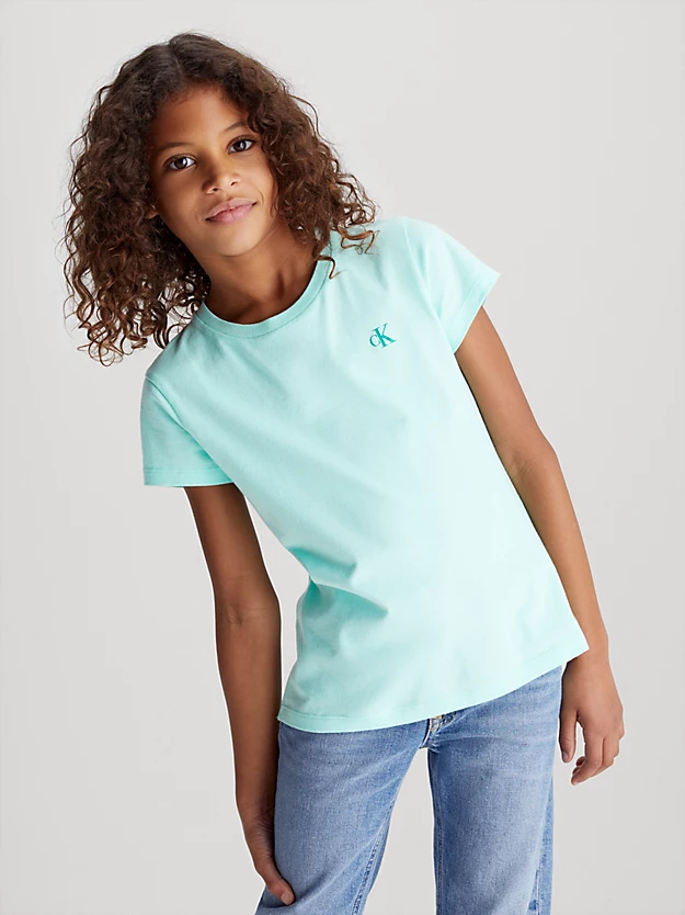 Camisetas Slim Fit em pacote com 2 unidades
