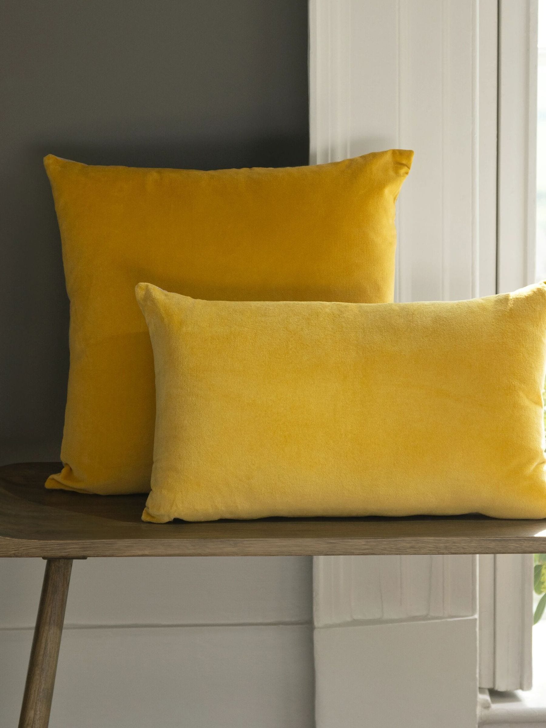 Christy Jaipur Velvet Filled Cushion