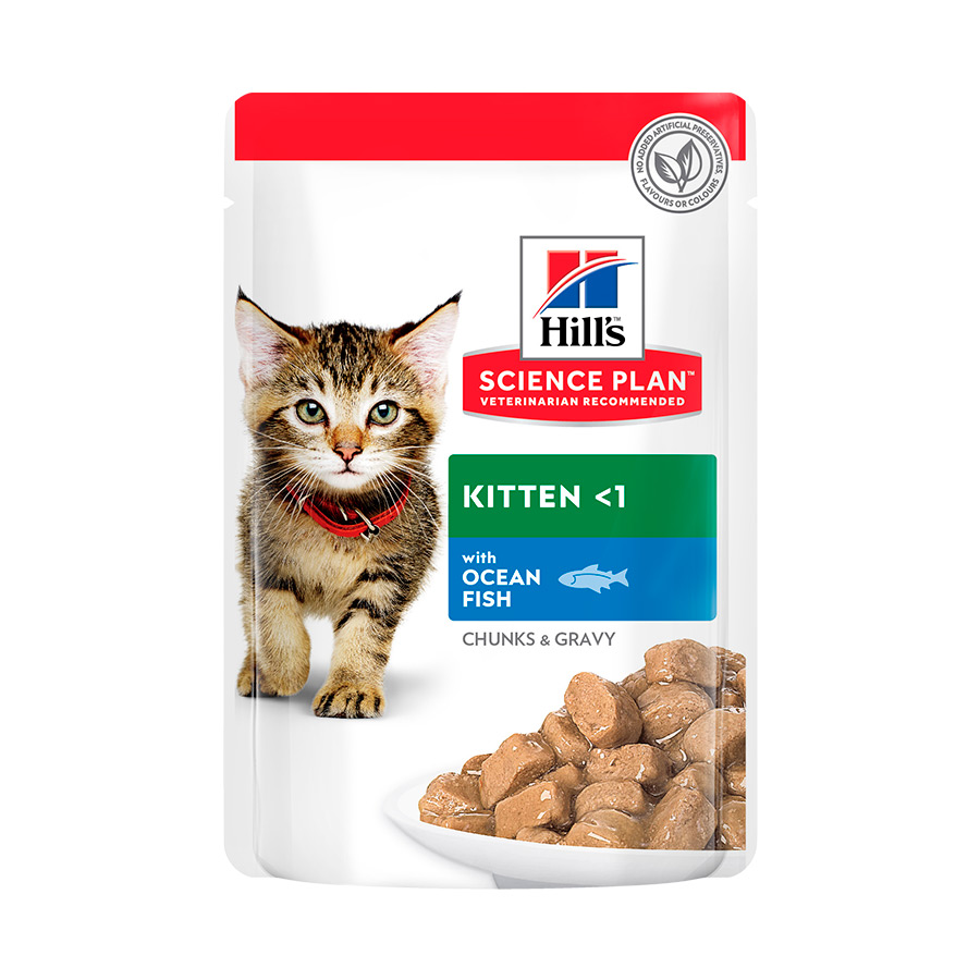 Sachê Hill's Science Plan Kitten Blue Fish para gatos