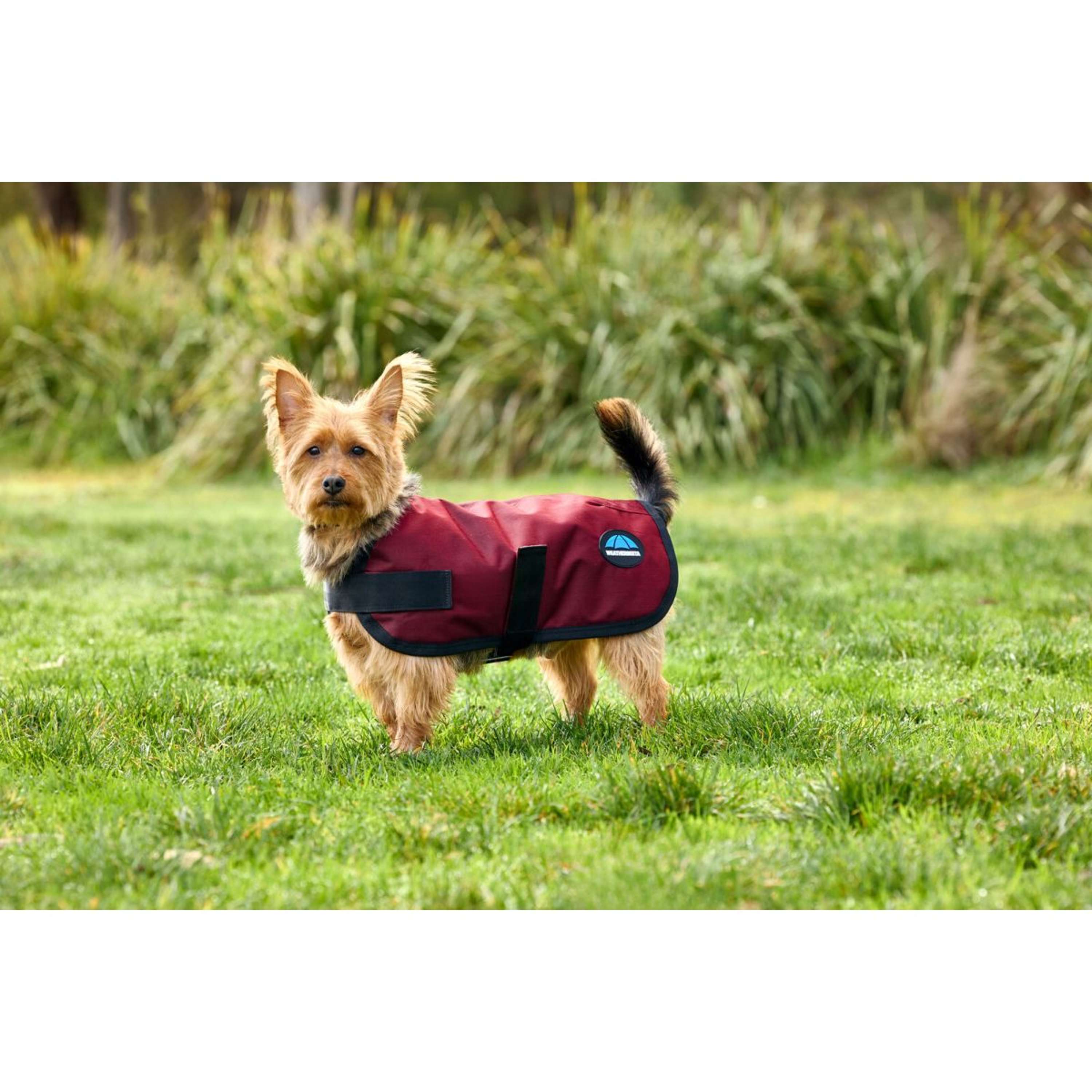 WeatherBeeta Hondendeken ComFiTec Classic Waterproof Burgundy