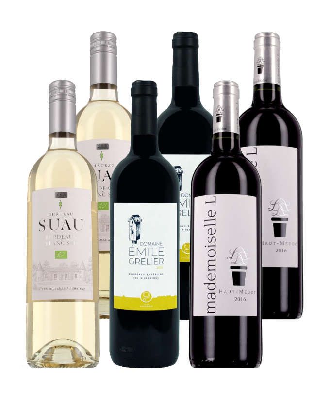 Bordeaux 100% bios - 6 bouteilles