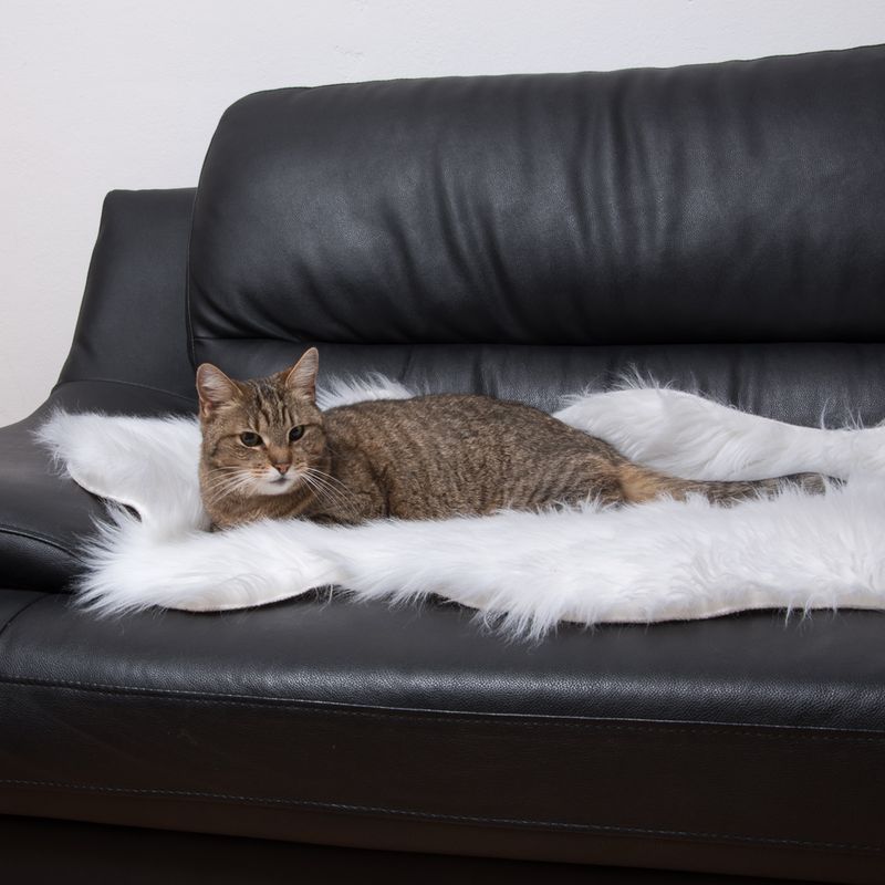 Tapis Smartpet