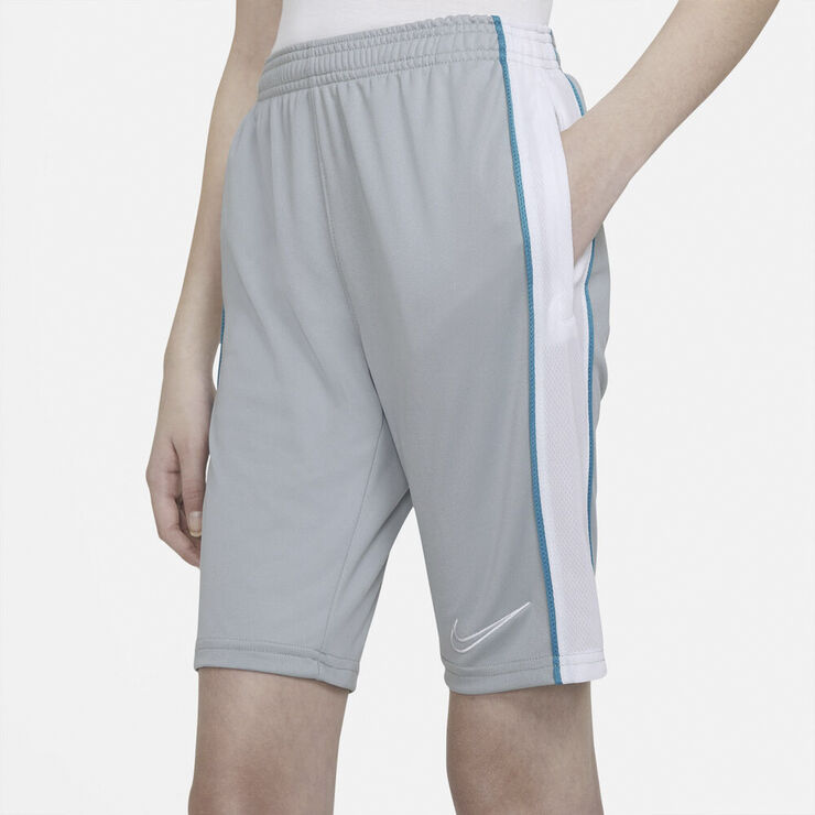 Nike Dri Fit Academy Shorts Grå