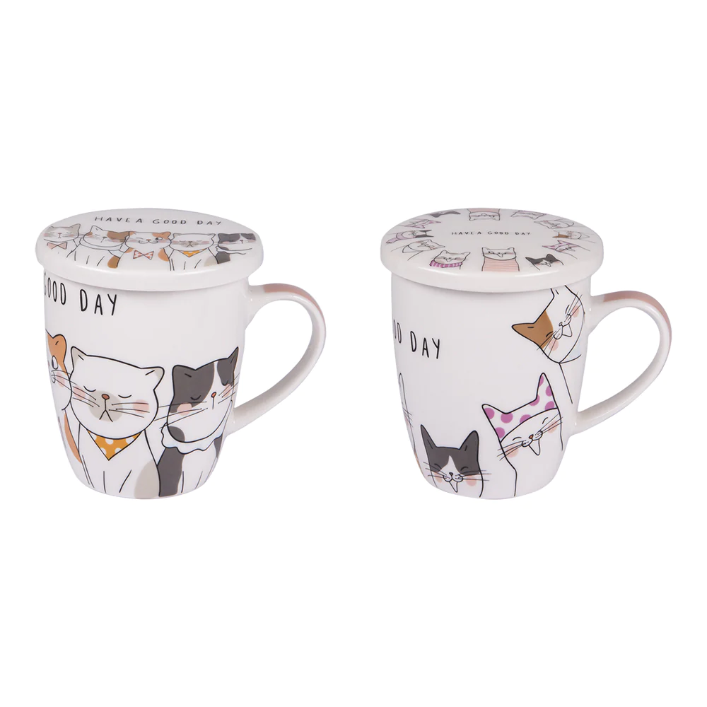 Coffret tisanière et filtre à thé 35 cl Trend'up