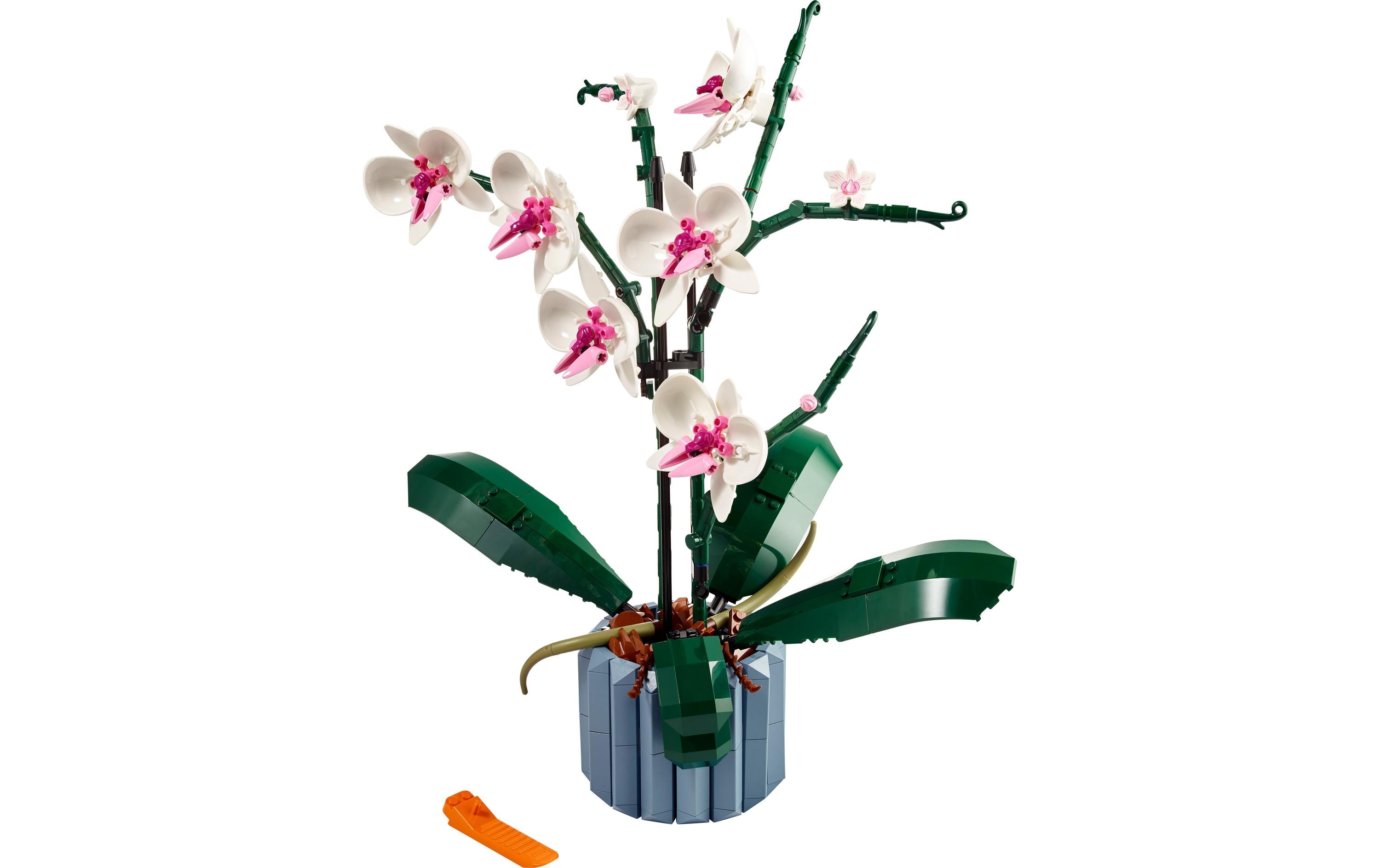 Icons Botanicals Collection: Orchidee 10311Individuell gestaltbares Modell