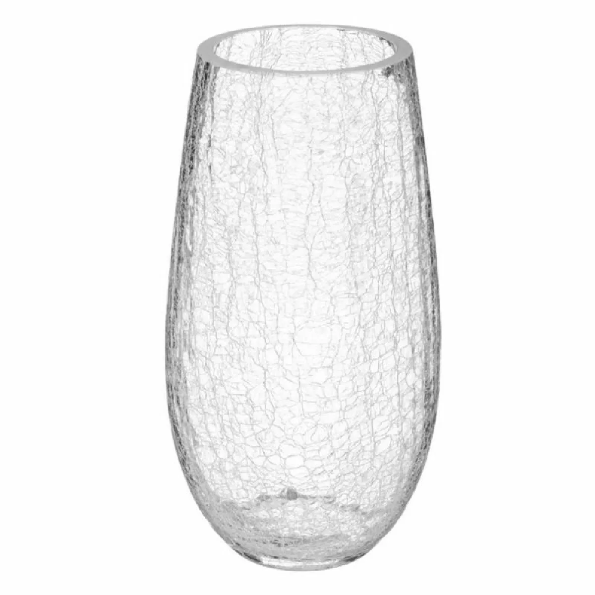 Vase Bombe Léon Transparent