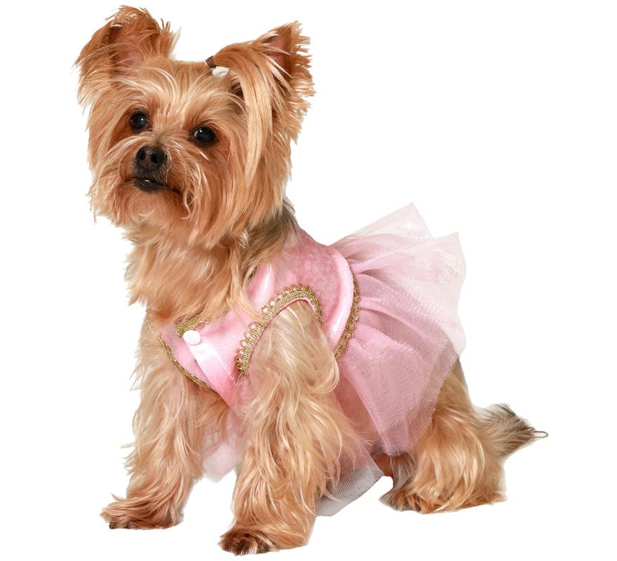 Fantasia de bailarina Atosa para cães