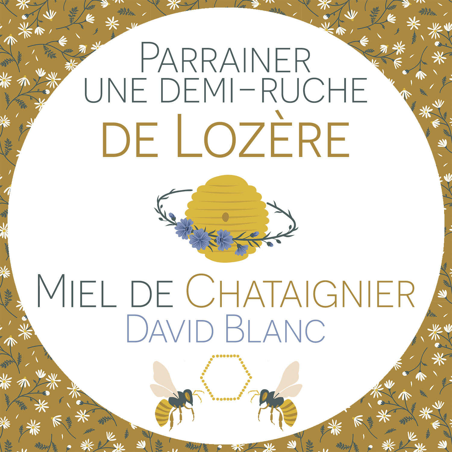 Parrainer une demi-ruche de Lozère : Miel de châtaigner - Récolte 2024