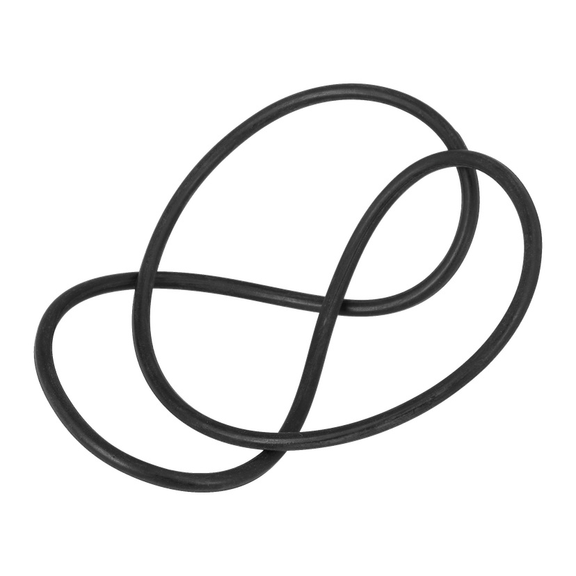 O-ring for pumpehus