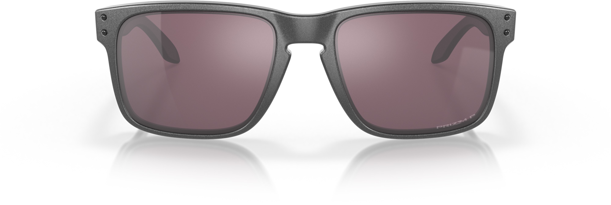 Holbrook  B555/Steel w/Prizm Daily Polarized