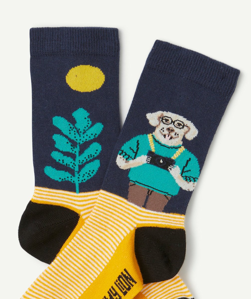 JIMMY LIONPAIRE DE CHAUSSETTES THÈME CHIEN PHOTOGRAPHE