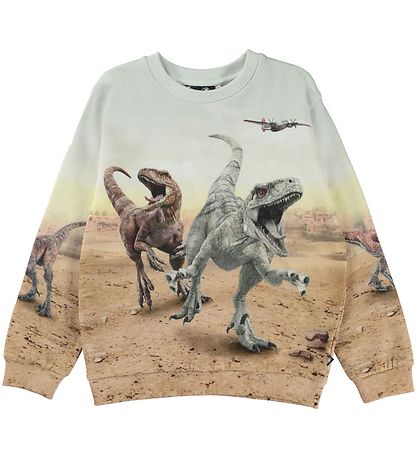 Molo Sweatshirt - Miksi - Dinos in Hülle und Fülle
