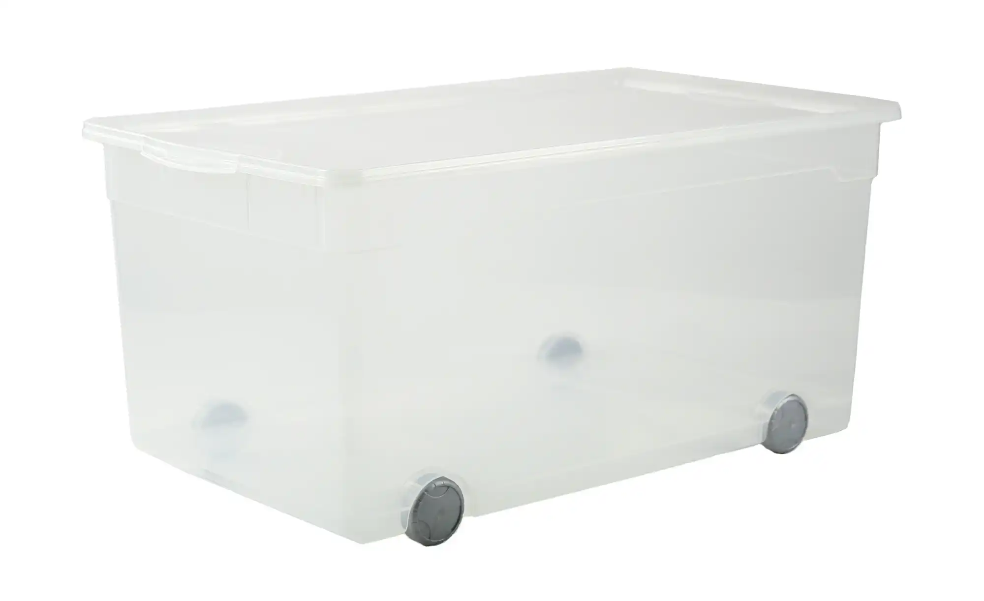 Rotho Aufbewahrungsbox mit Rollen