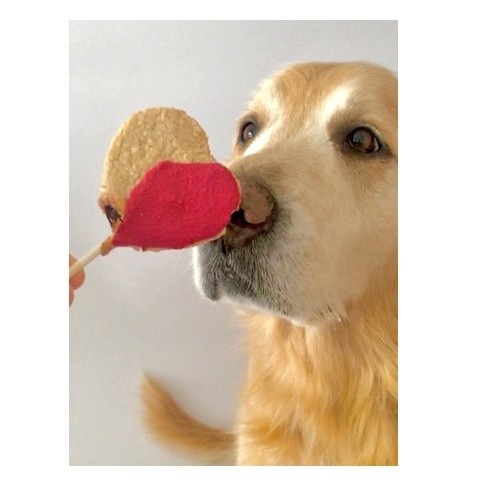 Kit de confeitaria para cães Loonypets, pirulitos para cães