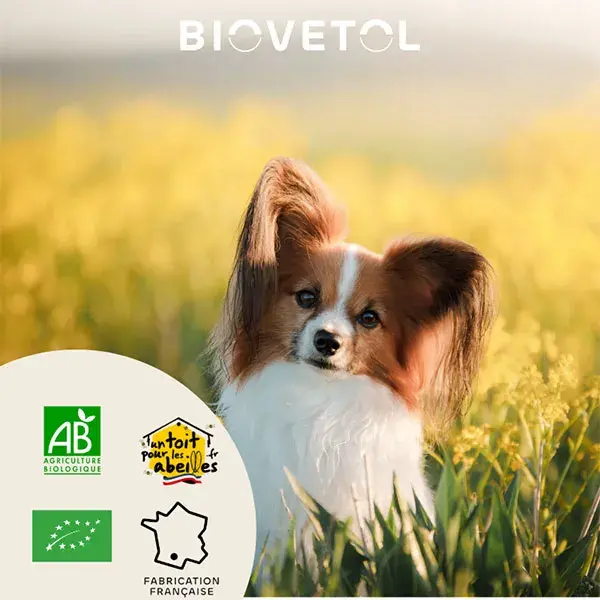 Biovetol - Poudre Stimul'Intestin Bio Petit Chien <10kg - 52g