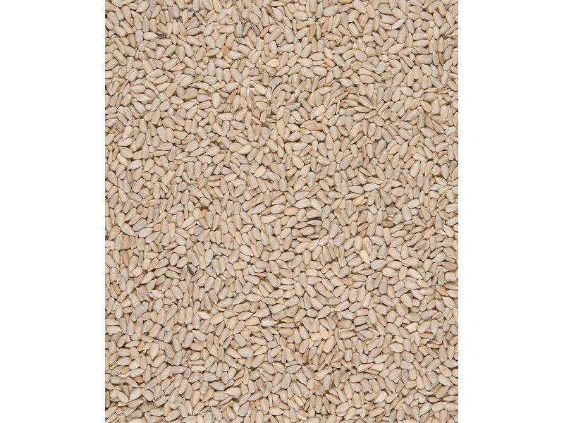 Versele Laga Vogelfutter MN Sunflower hearts 750 g Energiereiches Extra für Gartenvögel