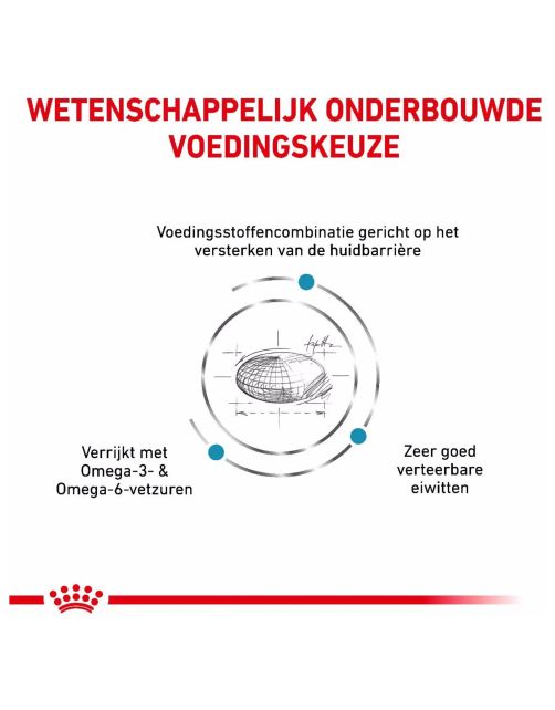 Royal Canin Veterinary Diet Dog Skin Care Adult - Hondenvoer