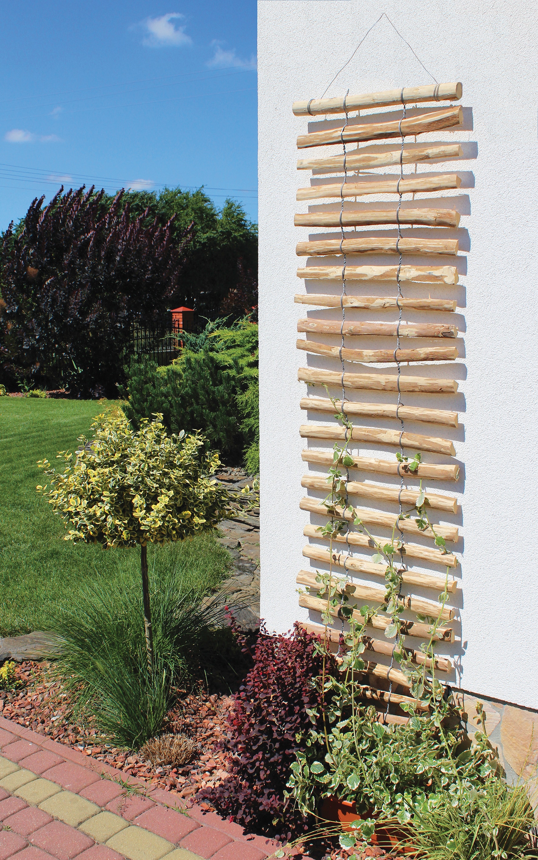 dobar Rankhilfe LxB: 50x200 cm, Haselnuss