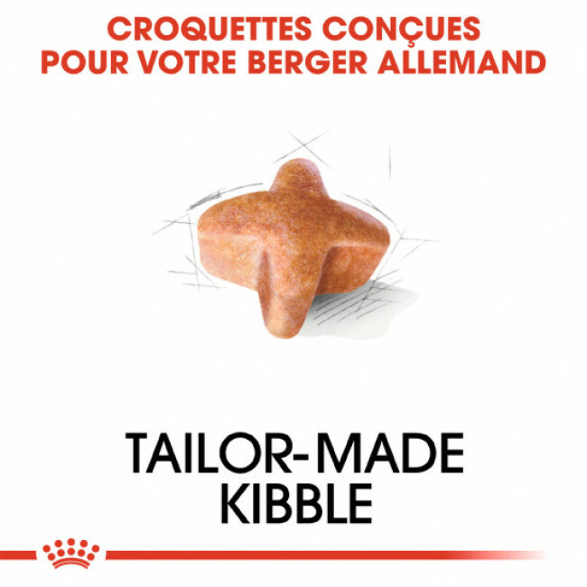 Croquettes Royal Canin Berger Allemand Adulte