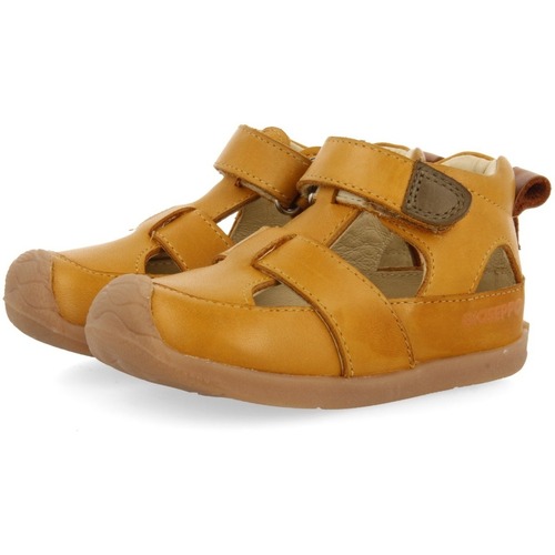 Gioseppo - BABSON Amarillo