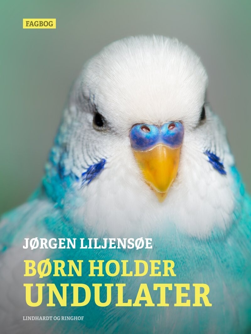 Børn Holder Undulater - Jørgen Liljensøe - Bog