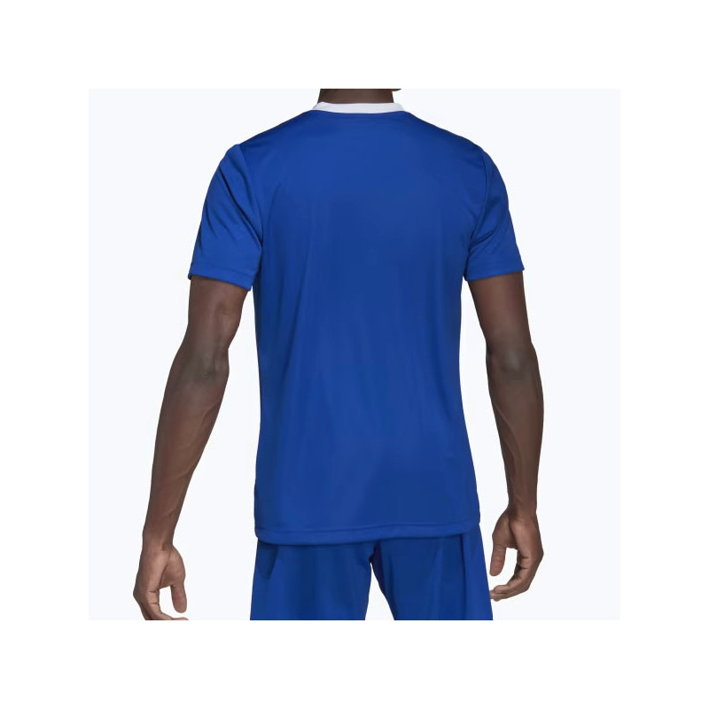 Tee-shirt sport Adidas Teamwear