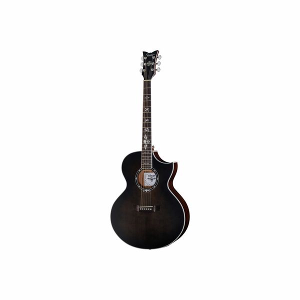 Schecter Synyster Gates SYN GA  B-Stock