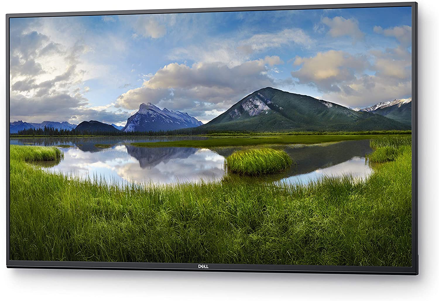 Dell C5519Q | 55