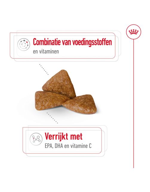 Royal Canin X-Small Ageing 12+ - Hondenvoer